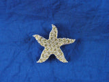 SCS 2007 Community Event Yellow Starfish Tac Pin