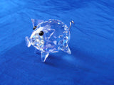 Mini Pig, Var 2