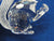 SCS 1997 10th Anniversary Squirrel ~ SIGNED