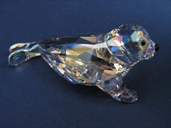 SCS 2012 Event Baby Seal