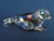 SCS 2012 Event Baby Seal ~ SIGNED