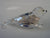 SCS 2012 Event Baby Seal ~ SIGNED