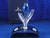 SCS 2002 Blue Tulip