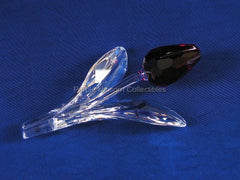 SCS 2003 Red Tulip