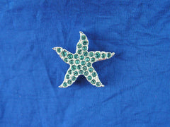SCS 2006 Eternity Event Blue Starfish Tac Pin