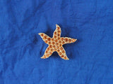 SCS 2005 Harmony Event Topaz Starfish Tac Pin