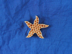 SCS 2005 Harmony Event Topaz Starfish Tac Pin