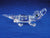 Alligator