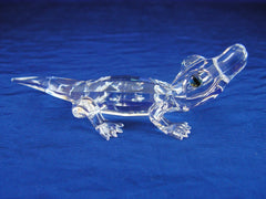 Alligator