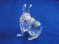 SCS 2011 Event Arctic Hare ~ SIGNED