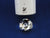 SCS 1992-1995 Paperweight ~ Black SCS & Swan