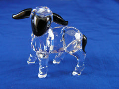 Little Blackhead Lamb