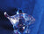 SCS 2009 Event Blue Dart Frog ~ SIGNED