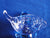 SCS 2009 Event Blue Dart Frog ~ SIGNED