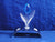 SCS 2002 Blue Renewal Tulip + Minis ~ 3 yr gift