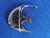 Calabar Fish Brooch