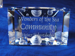 SCS 2007 Community Title Plaque