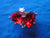 Double Red Heart Tac Pin Brooch