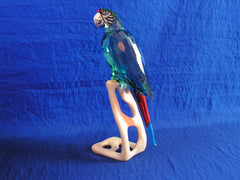 Chrome Green Macaw