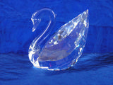 SCS 1996-2004 New Member Swan