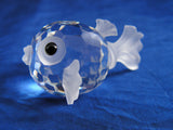 Miniature Blowfish