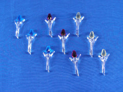 SCS 2002-2004 Single Mini Renewal Tulips