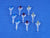 SCS 2002-2004 Miniature Tulips