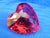 SCS 1998 Red Renewal Heart