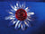 SCS 2000 Red Marguerite with Minis ~ 3 yr gift