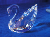 SCS 1995 Clear Renewal Swan