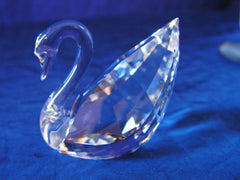 SCS 1995 Clear Renewal Swan