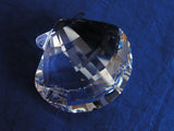 SCS 2006 Scallop ~ SIGNED