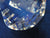 SCS 2006 Scallop ~ SIGNED