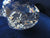 SCS 2006 Scallop ~ SIGNED