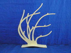 Small Coral Display