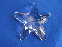 SCS 2005 Starfish ~ SIGNED