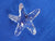 SCS 2005 Starfish ~ SIGNED