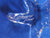 SCS 2005 Starfish ~ SIGNED