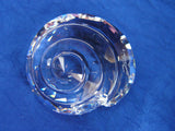 SCS 2007 Top Shell ~ SIGNED