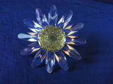 SCS 1999 Yellow Marguerite